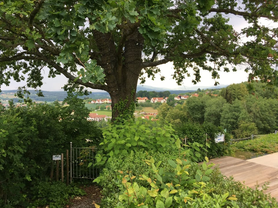 Gartenanlage Hotel & Spa Der Steirerhof Bad Waltersdorf
