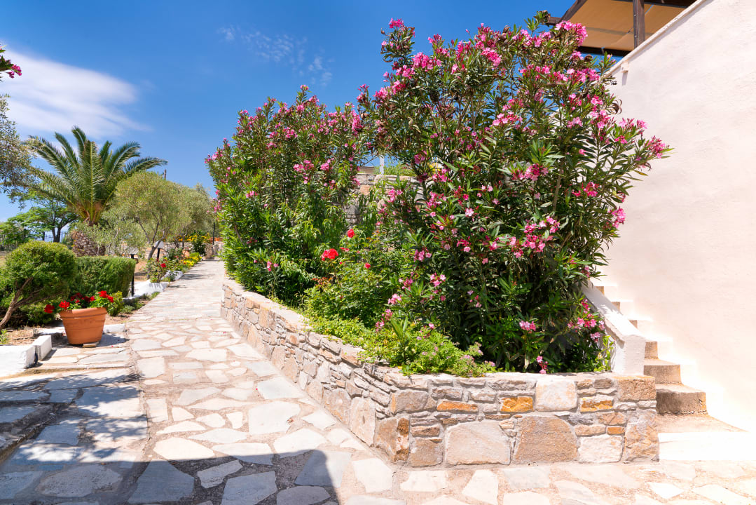 Gartenanlage Aeria Hotel