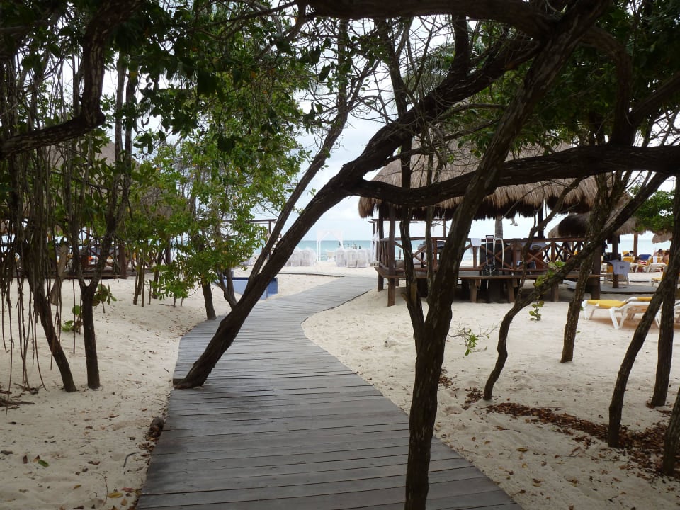 Gartenweg zum Strand Iberostar Waves Paraiso Beach