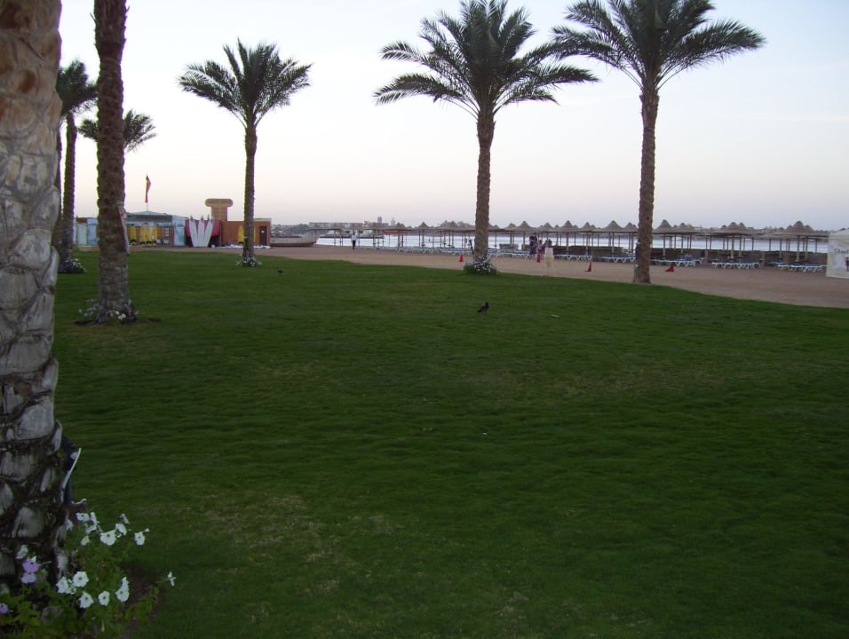 Für spiele Stella Beach Resort & Spa Makadi Bay