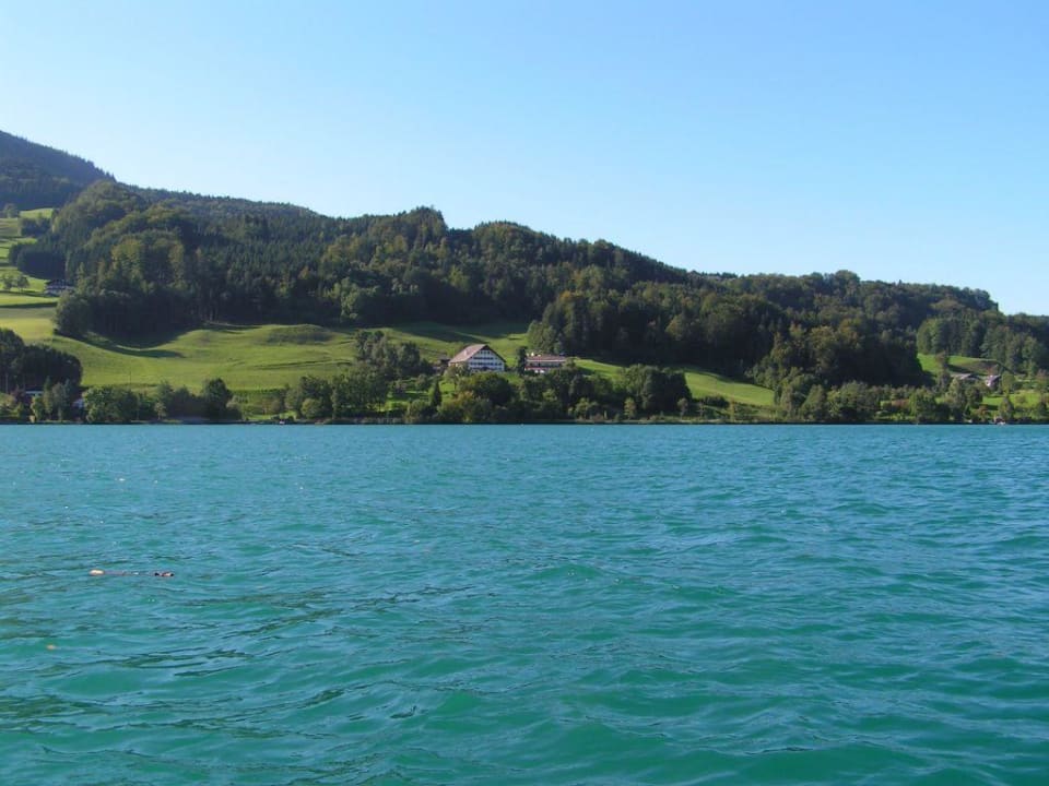 Aussicht vom See Pension Sonnhof