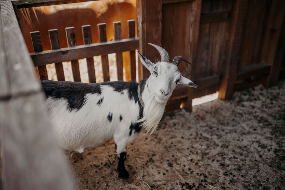 Sport & Freizeit Hotel Ferienparadies Lerch