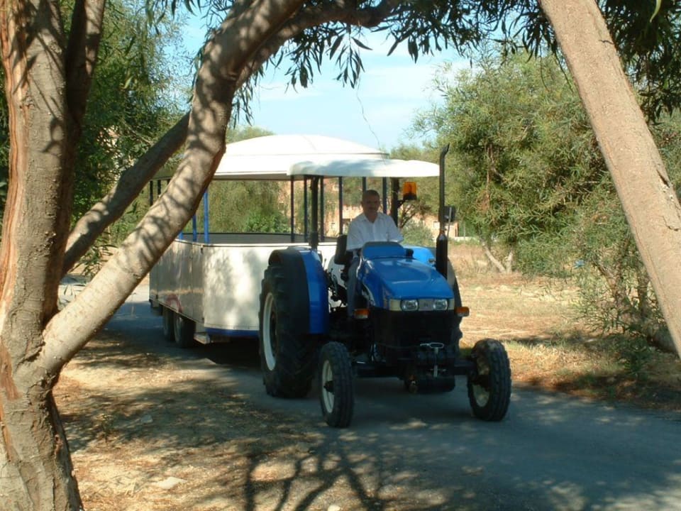 Shuttle zumStrand Grand Seker Hotel