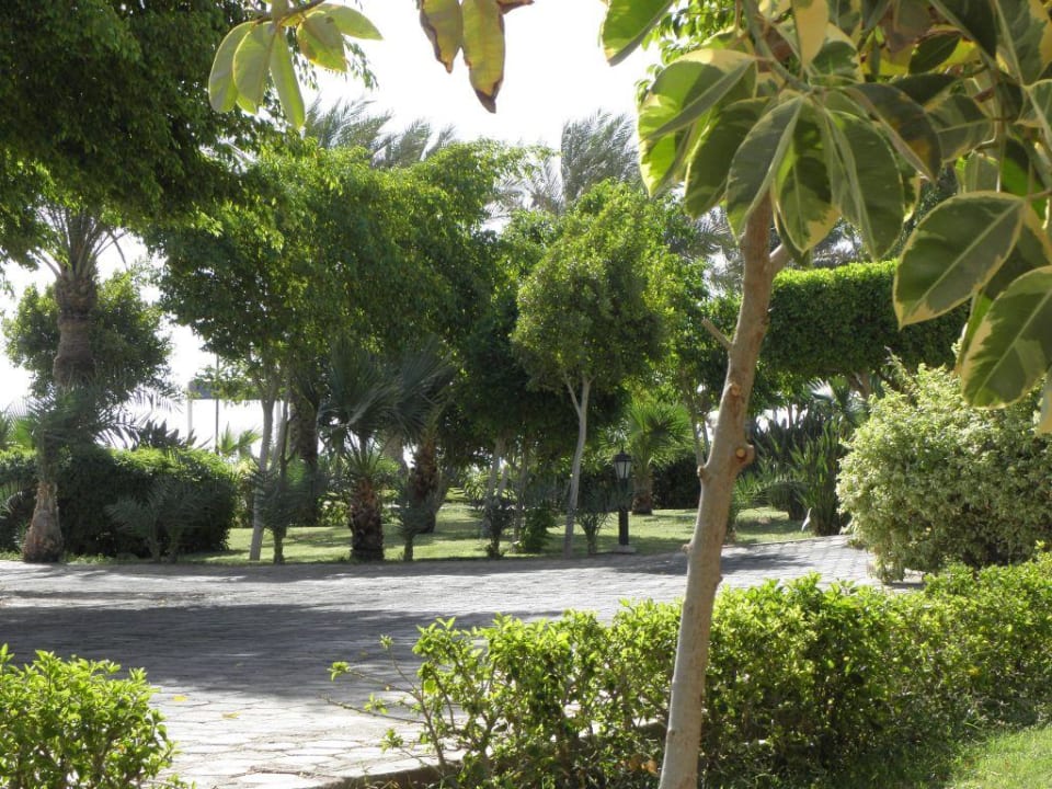 Ogród Sultan Gardens Resort