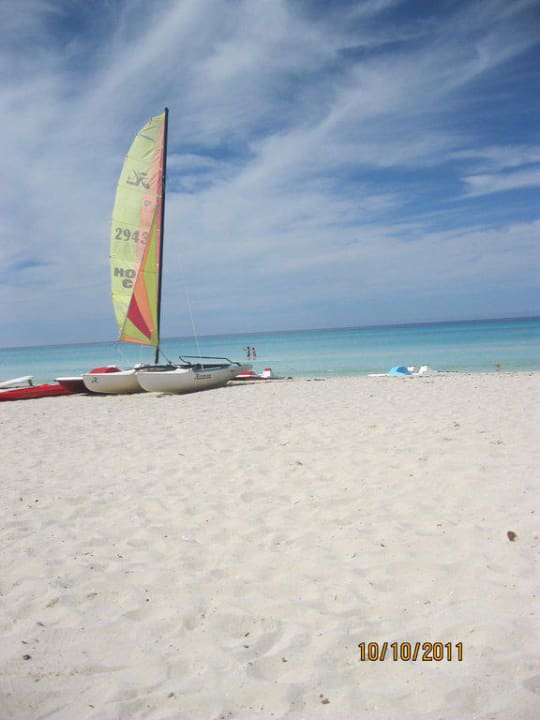 Mein Lieblingsbild Starfish Cuatro Palmas