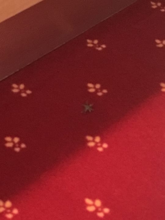 Zimmer GSI Hotel Bonn