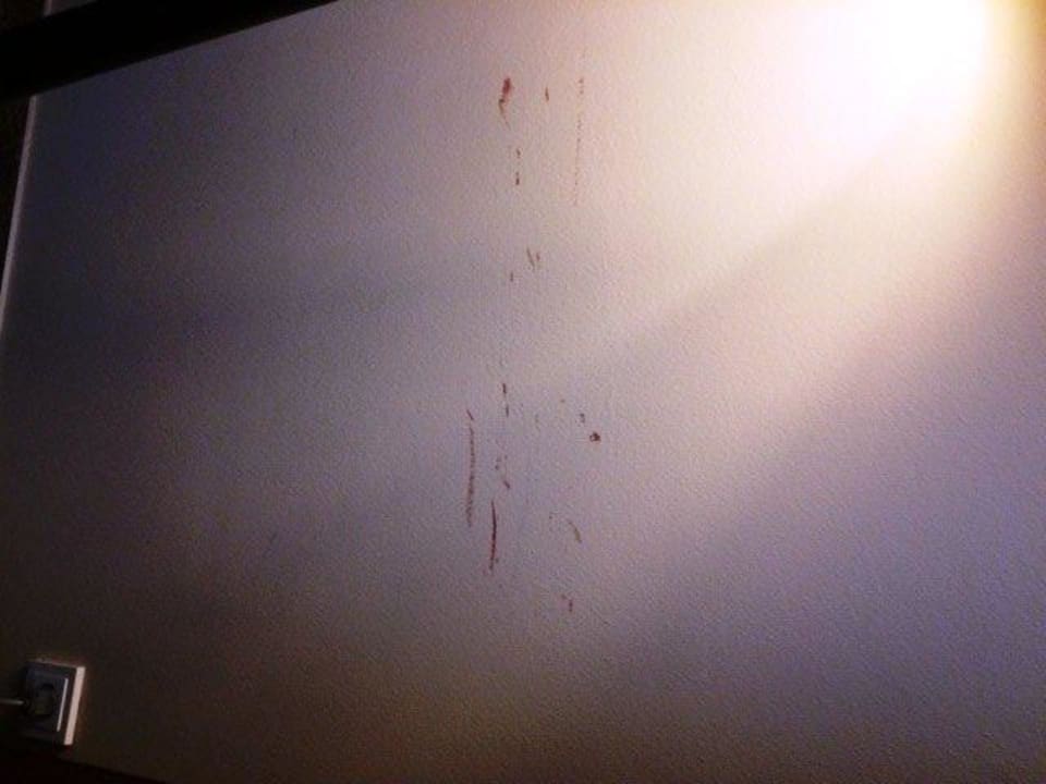 Wände Deluxe Lindner Hotel Vienna Am Belvedere, part of JdV by Hyatt