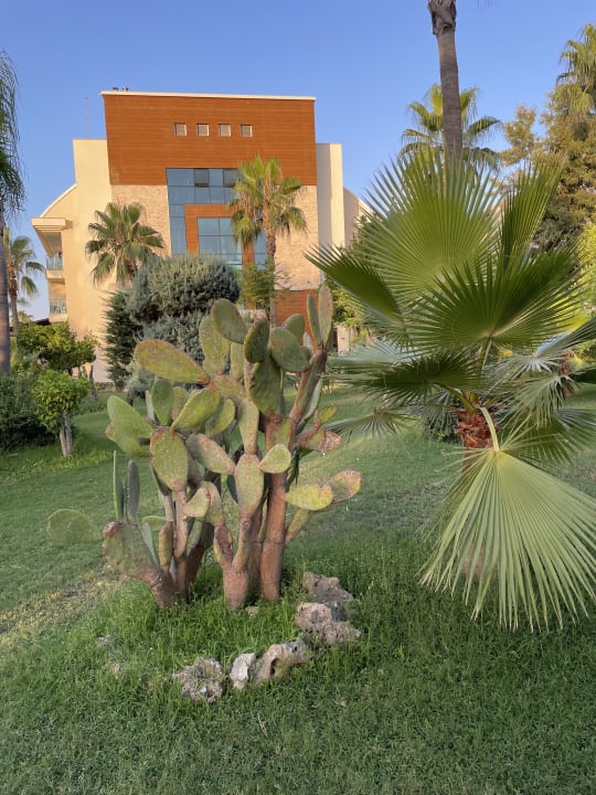 Gartenanlage Saphir Hotel & Villas