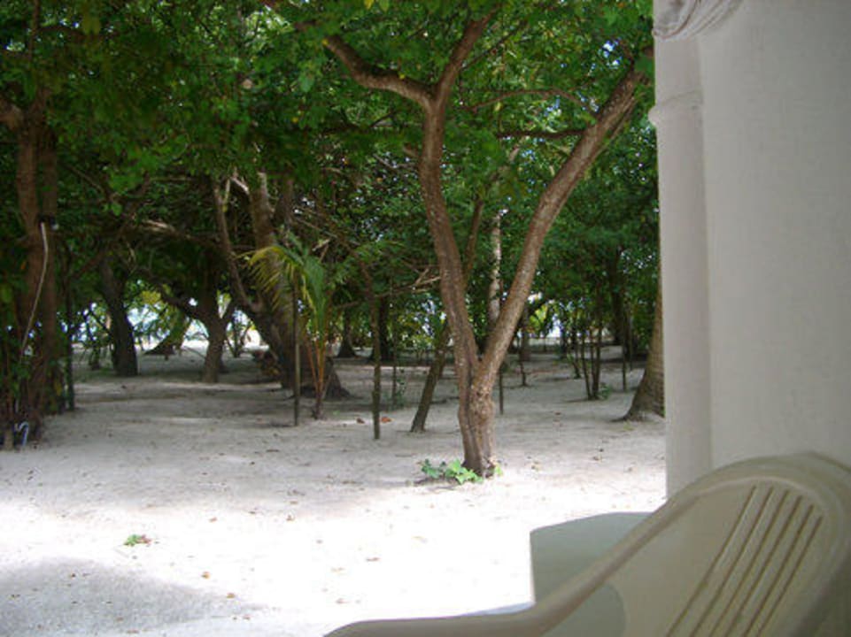 Blick von der Terrasse Embudu Village