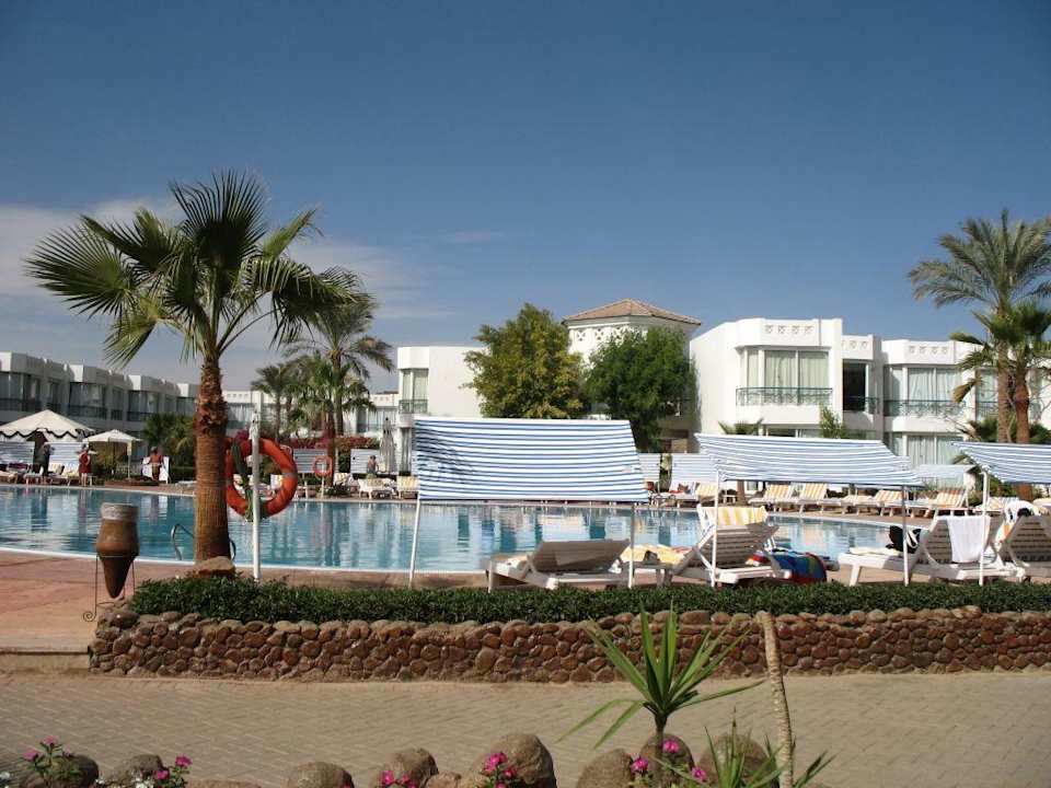 Widok na duży basen Hotel Amarante Garden Palms Resort