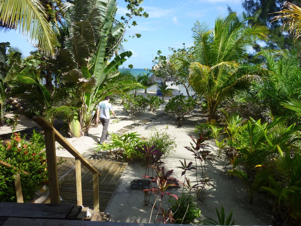Blick von der Terrasse auf das Meer Ocean's Edge Beach Houses