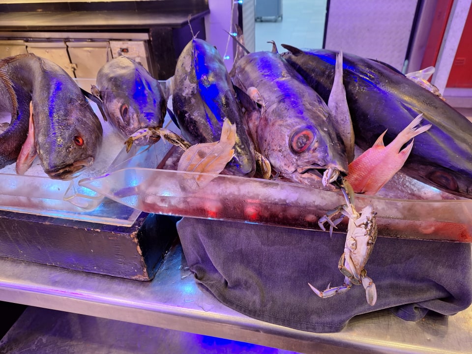 Gastro Cleopatra Luxury Resort Makadi Bay