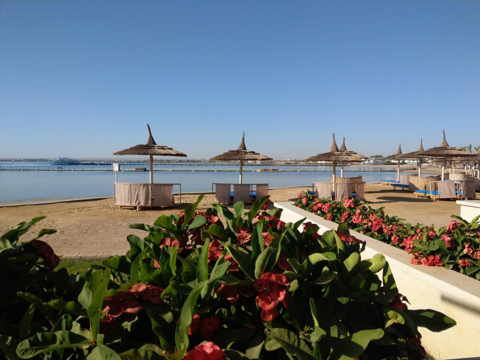 Strand Beach Albatros Resort