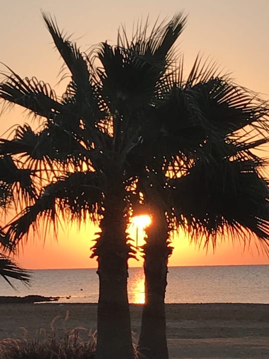 Strand Shams Prestige Abu Soma-Adults Only