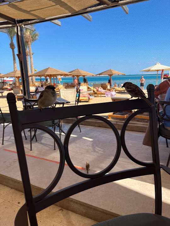 Strand Steigenberger Aqua Magic