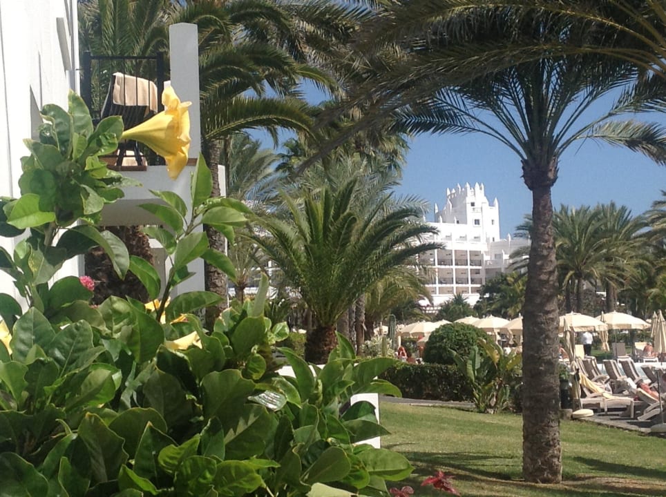 Blick von unserer -Suite in den Garten/Pool Hotel Riu Palace Meloneras