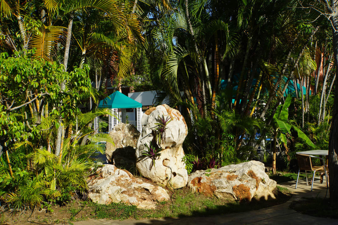 Gartenanlage Hotel Roc Barlovento