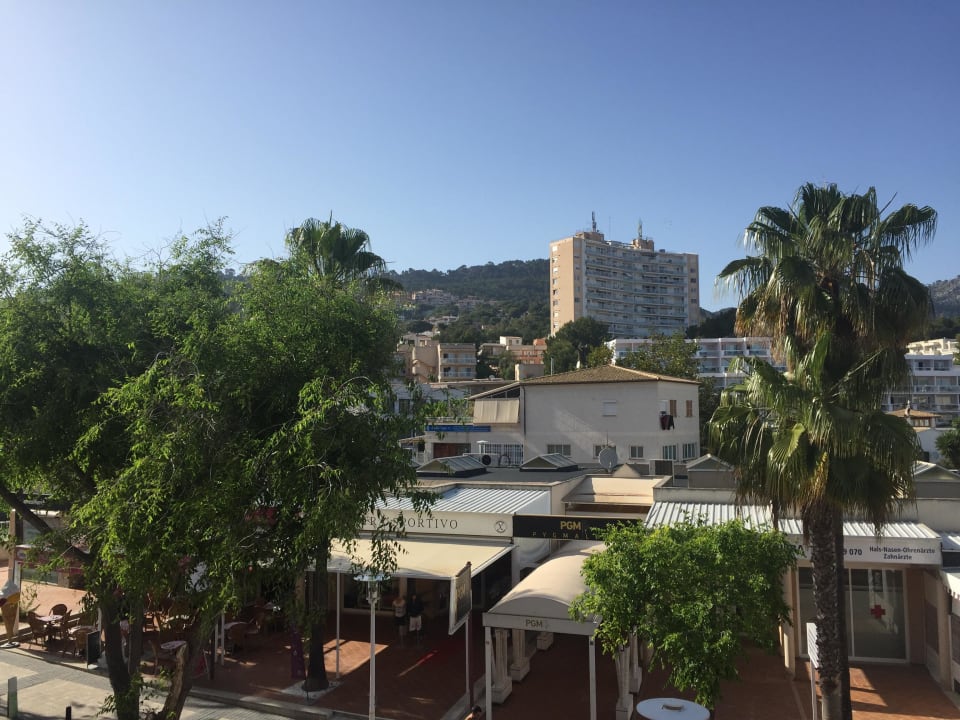 Ausblick 232 FLOR los Almendros Hotel