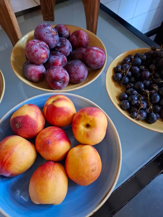 Gastro ARCHE Dwór Uphagena Gdańsk