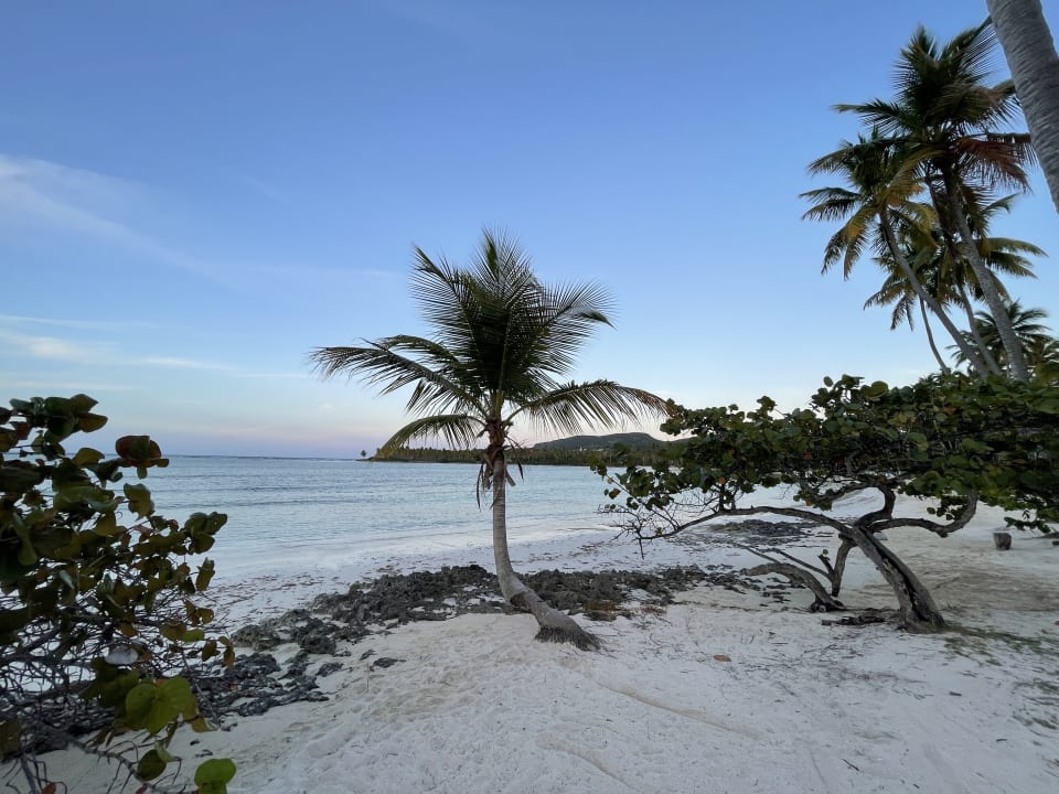 Strand Wyndham Alltra Samana