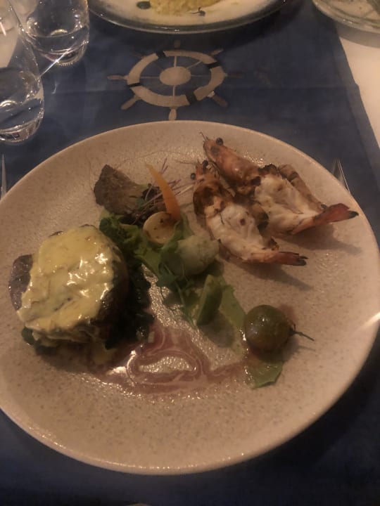 Gastro Acanthus Cennet Barut Collection