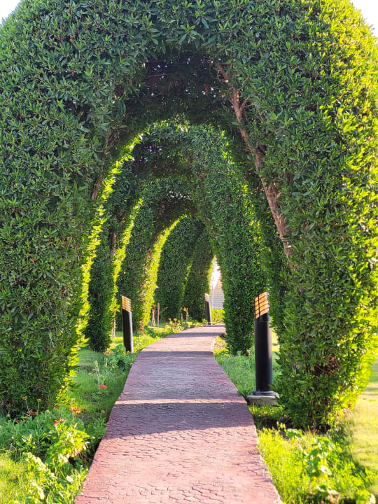 Gartenanlage Cleopatra Luxury Resort Makadi Bay