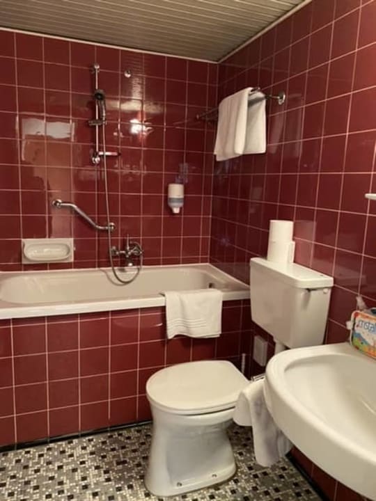 Zimmer AKTIVHOTEL Weisser Hirsch