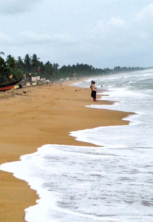 Mermaid Mermaid Hotel & Club