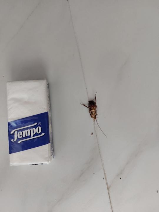 Sonstiges Kihaa Maldives