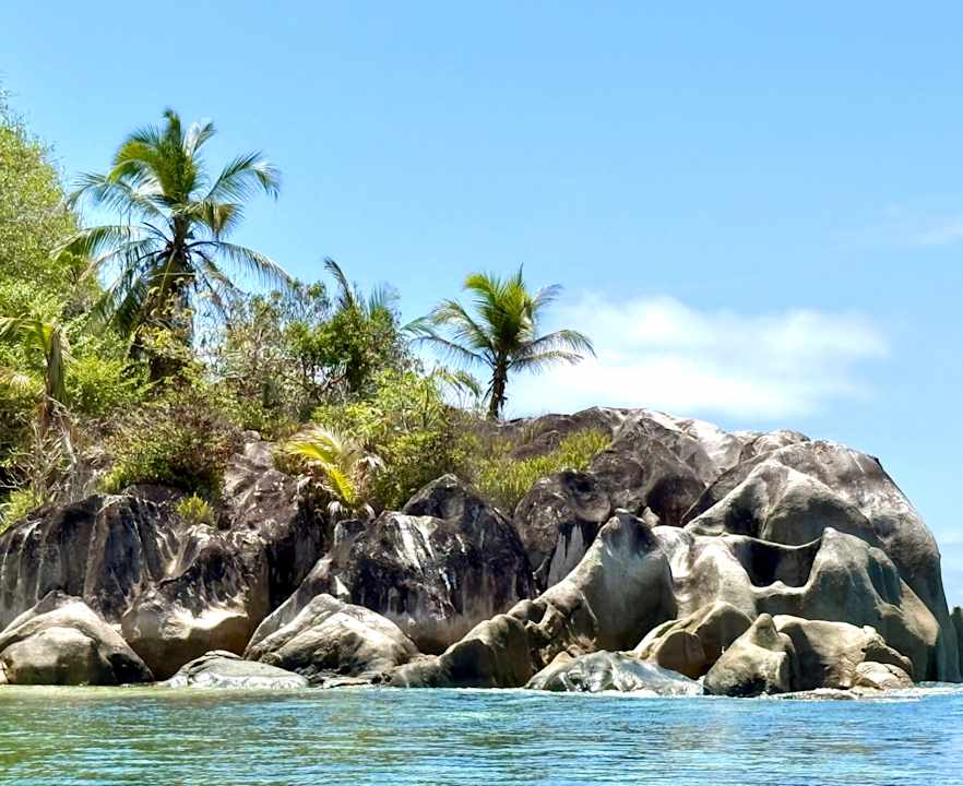 Sonstiges Constance Ephelia