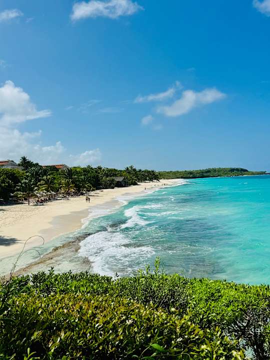 Strand Paradisus Rio de Oro Resort & Spa - Adults only
