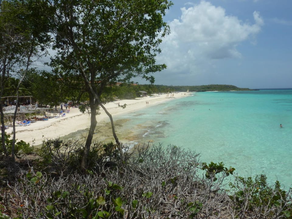 Strand Paradisus Rio de Oro Resort & Spa - Adults only