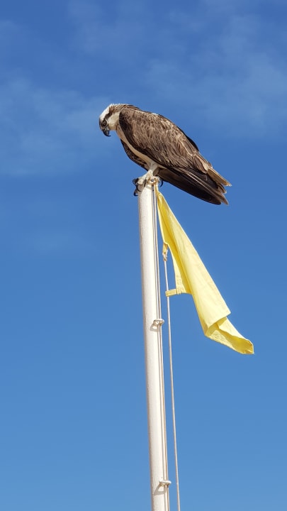 Sonstiges Steigenberger Coraya Beach - Adults only