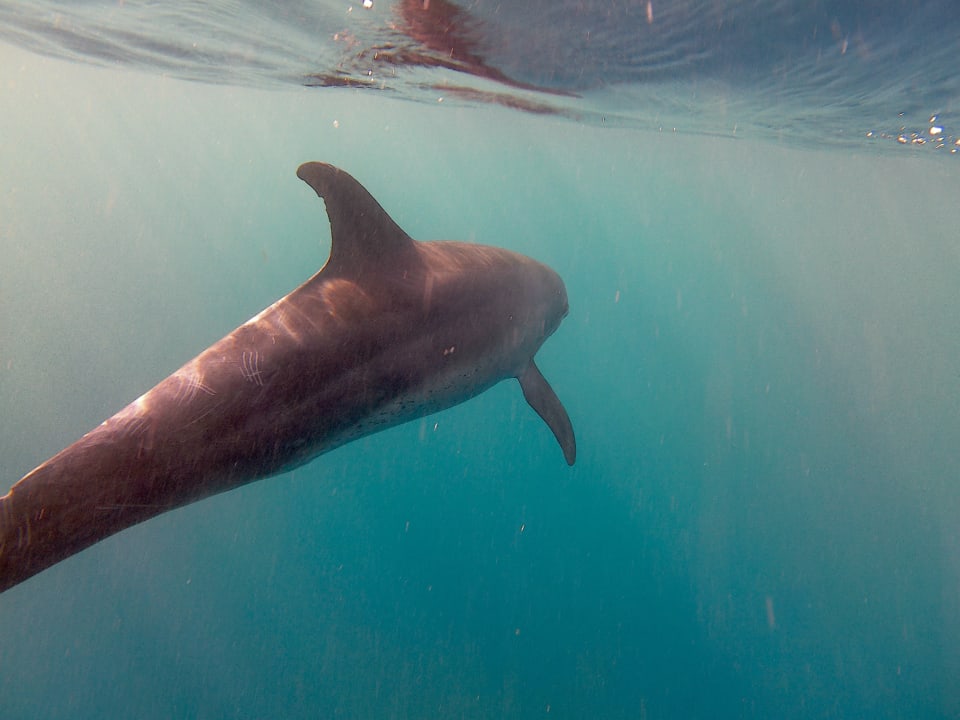 Sport & Freizeit Mövenpick Resort El Quseir