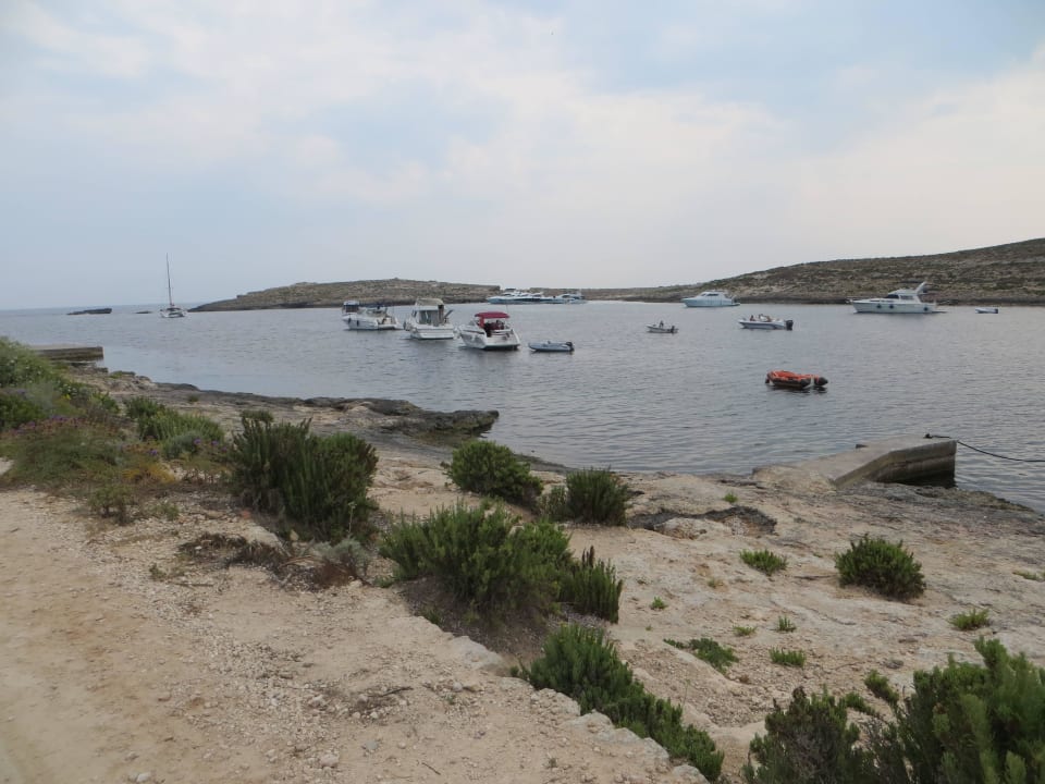 Strand an den Bungalows Comino Hotel & Bungalows