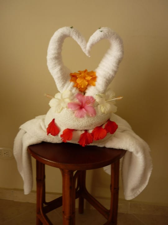 Handtuchkunst Dreams La Romana Resort & Spa