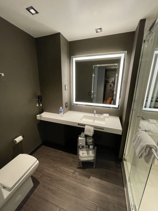 Zimmer AC Hotel by Marriott New York Times Square