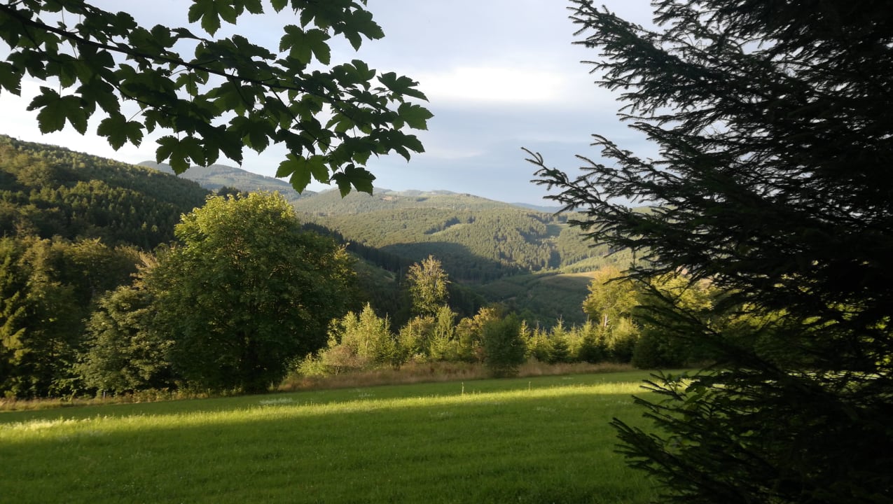 Ausblick Ferienwohnung Sauerland Fernblick