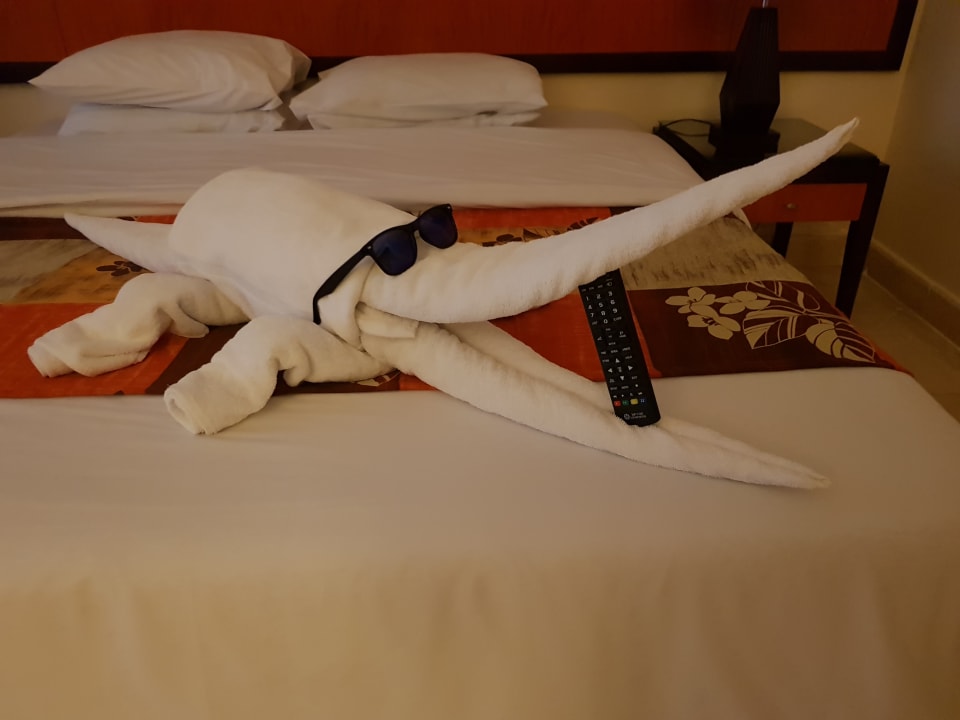 Zimmer AMC Royal Hotel & SPA