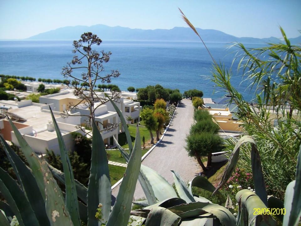 Blick auf den Hauptweg in der Anlage Dimitra Beach Hotel & Suites