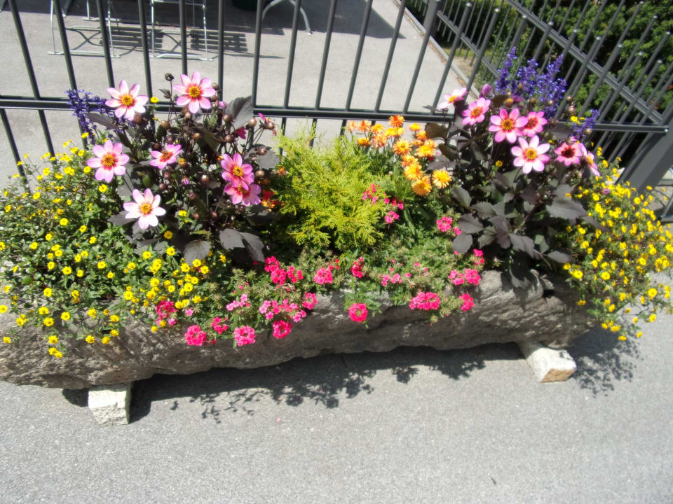 Gartenanlage Hotel Landgasthof Hacker