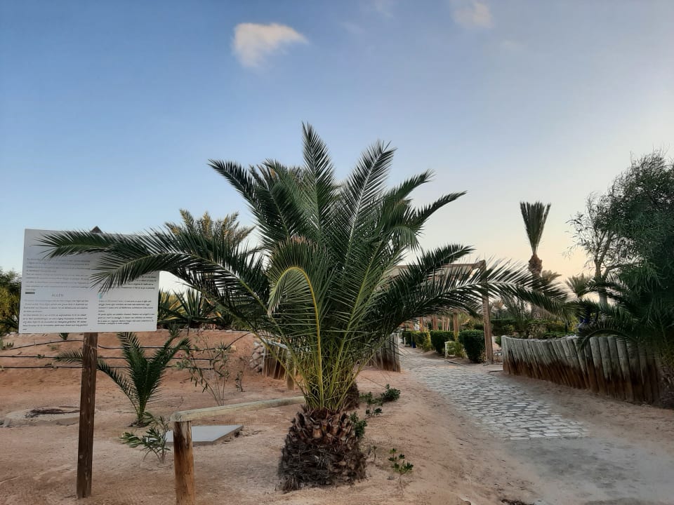 Gartenanlage Iberostar Waves Mehari Djerba