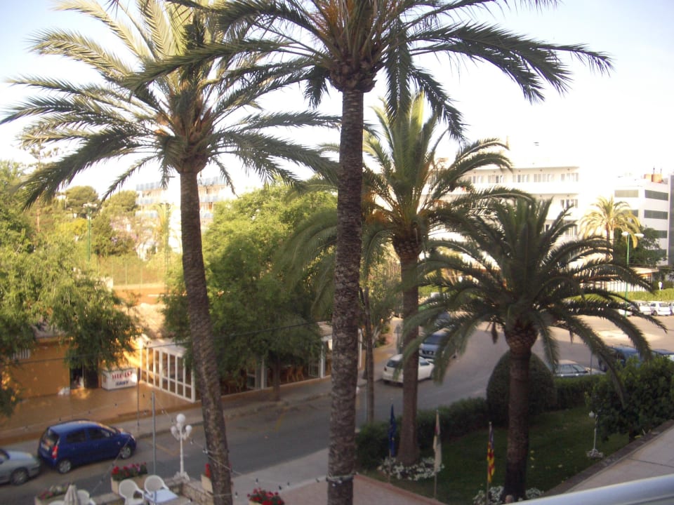 Ausblick vom Balkon Hotel Boreal