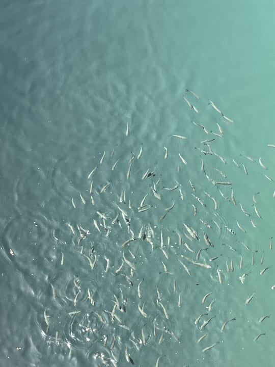 Strand allsun App.-Hotel Esquinzo Beach