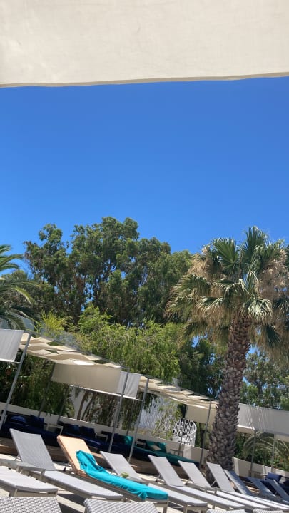 Pool The Orangers Beach Resort and Bungalows