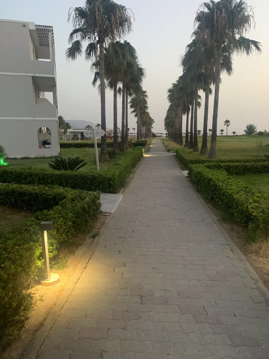 Gartenanlage Delfina Tropic Beach