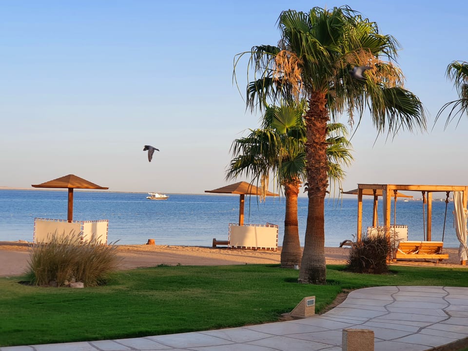 Strand Shams Prestige Abu Soma-Adults Only