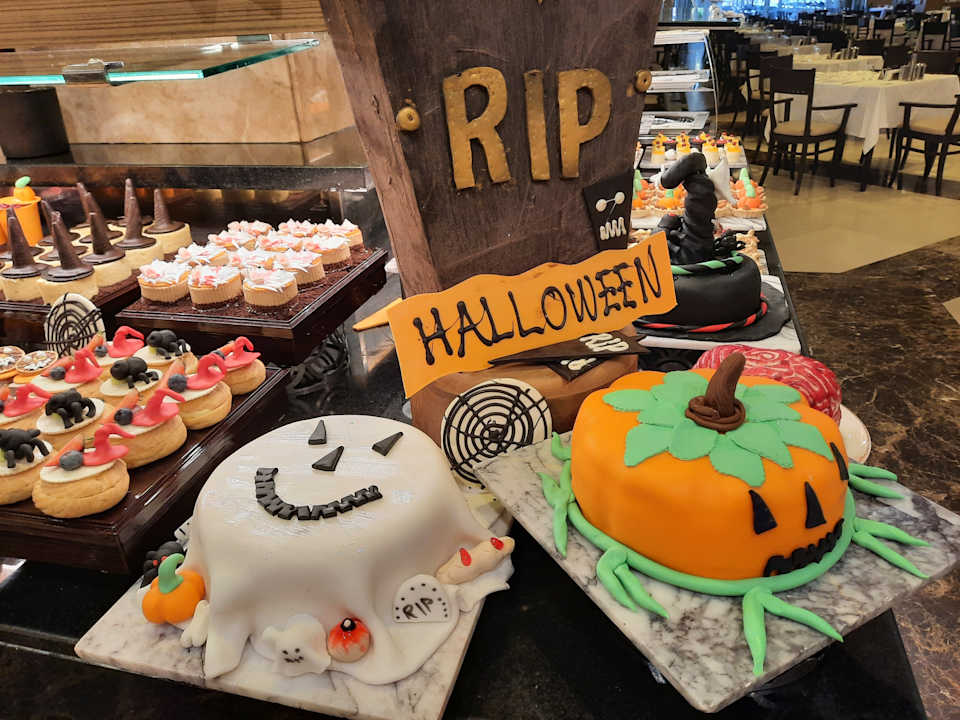 Gastro Papillon Ayscha