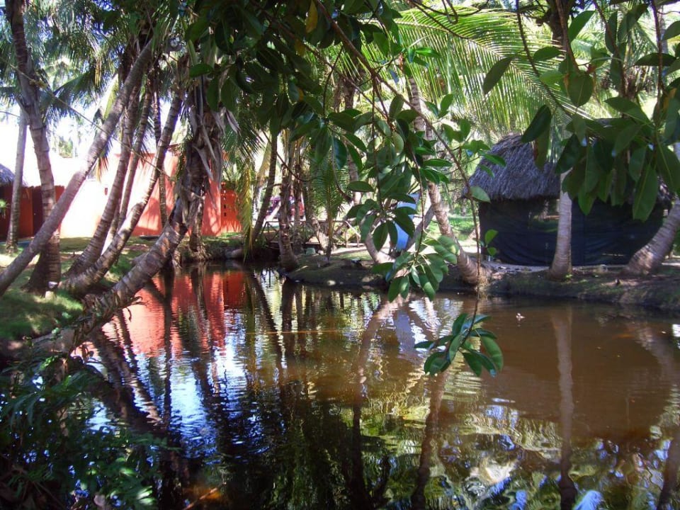 Teich Wyndham Alltra Samana