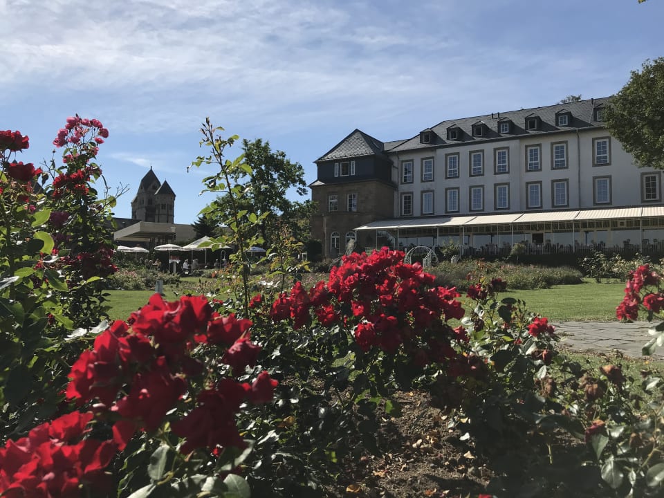Gartenanlage Seehotel Maria Laach